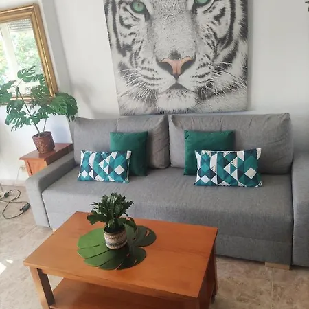 Piscis Apartmán